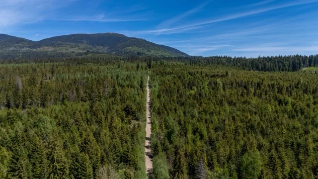 Hviezdoslavova alej в окрестностях Slaná Voda
